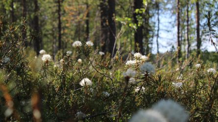 anne-nygard-bh6KRm4uOmU-unsplash