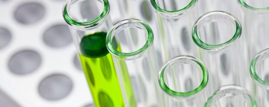 bill-oxford-tR0PPLuN6Pw-unsplash